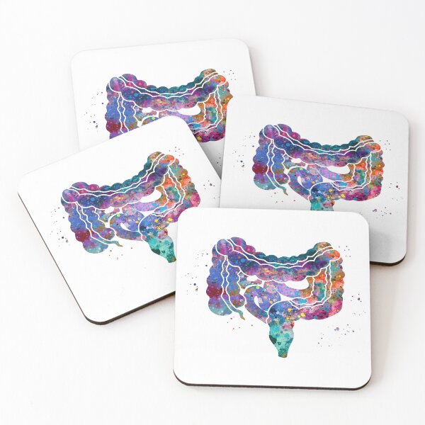 Item preview, Large and Small Intestines Anatomy designed and sold by EvasDreams.