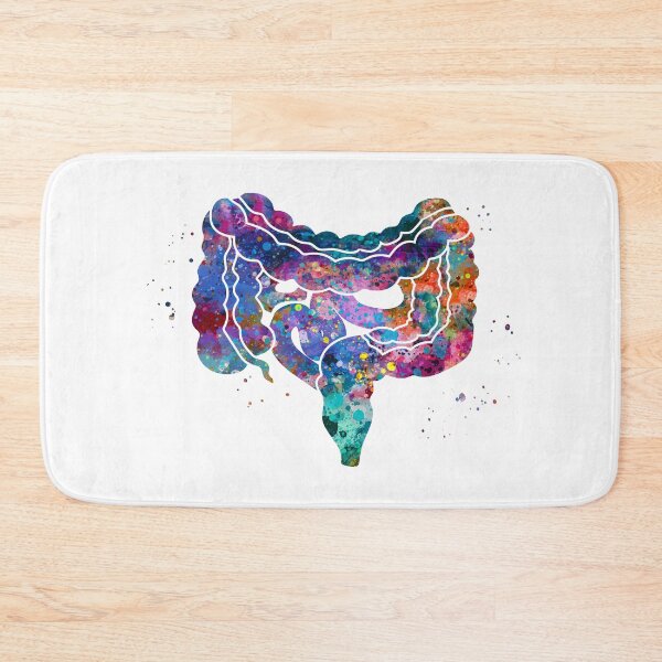 Item preview, Large and Small Intestines Anatomy designed and sold by EvasDreams.