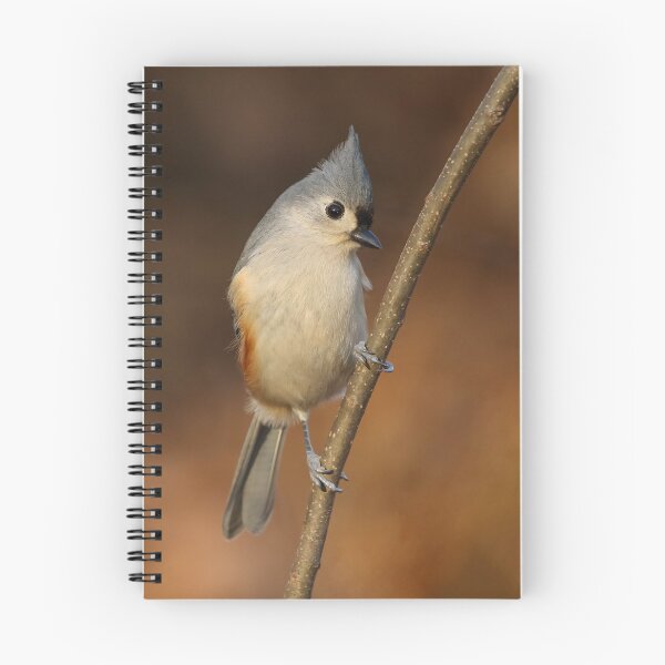 Item preview, Tufted Titmouse designed and sold by Jessica Kirste.