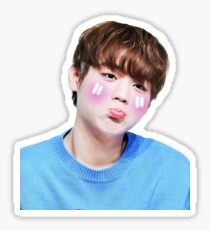 WANNAONE - Park Jihoon Sticker