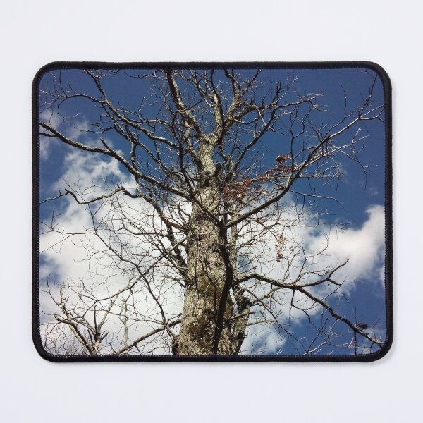 Item preview, Old dead tree designed and sold by Daerohel.