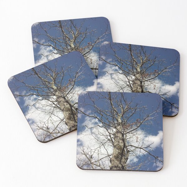 Item preview, Old dead tree designed and sold by Daerohel.