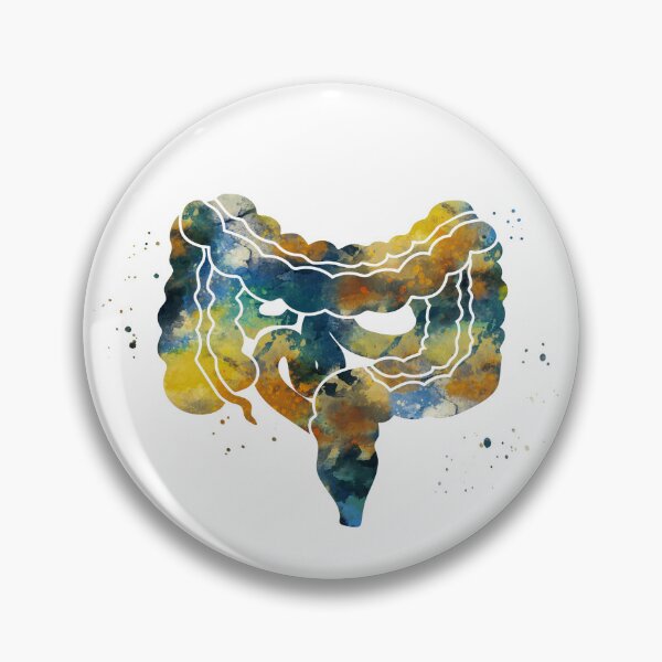 Item preview, Large and Small Intestines Anatomy designed and sold by EvasDreams.
