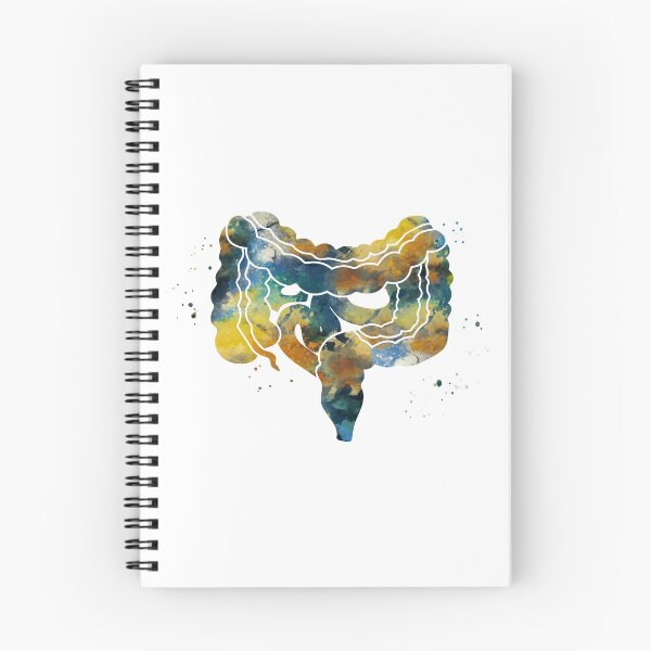 Item preview, Large and Small Intestines Anatomy designed and sold by EvasDreams.