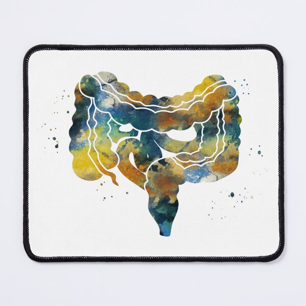 Item preview, Large and Small Intestines Anatomy designed and sold by EvasDreams.