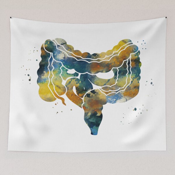 Item preview, Large and Small Intestines Anatomy designed and sold by EvasDreams.