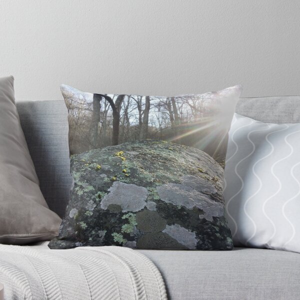 Artikelvorschau, Sonnenlicht auf bemoosten Felsen entworfen und verkauft von Daerohel.