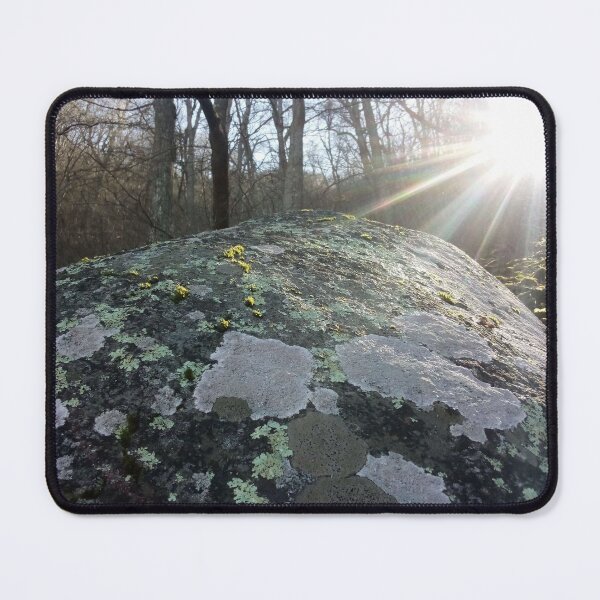 Item preview, Sunlight on mossy rock designed and sold by Daerohel.