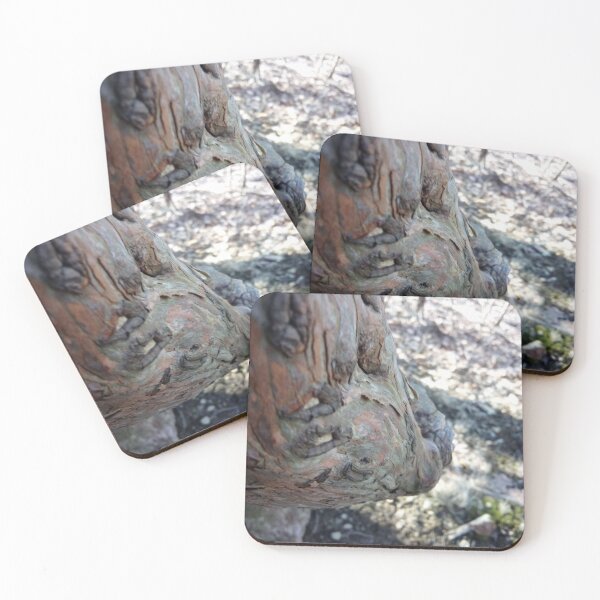 Item preview, Beautiful tree bark patterns designed and sold by Daerohel.