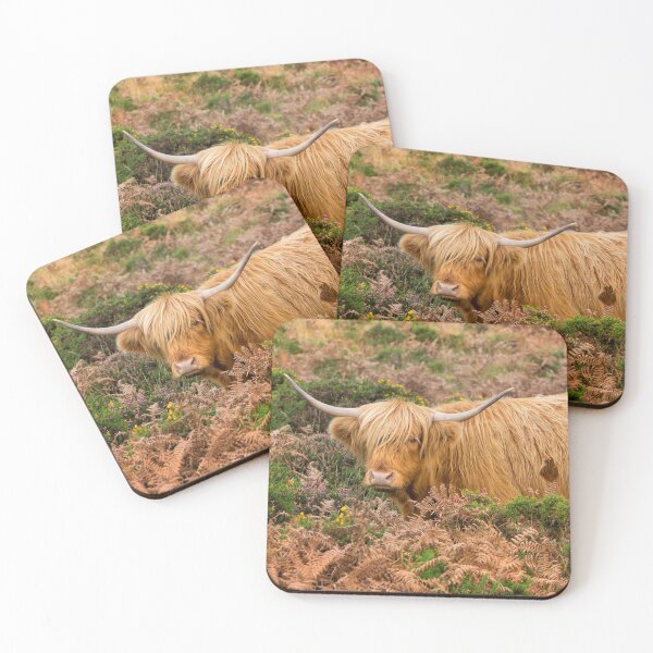 Item preview, Highland lad designed and sold by Dave Hare Photography.