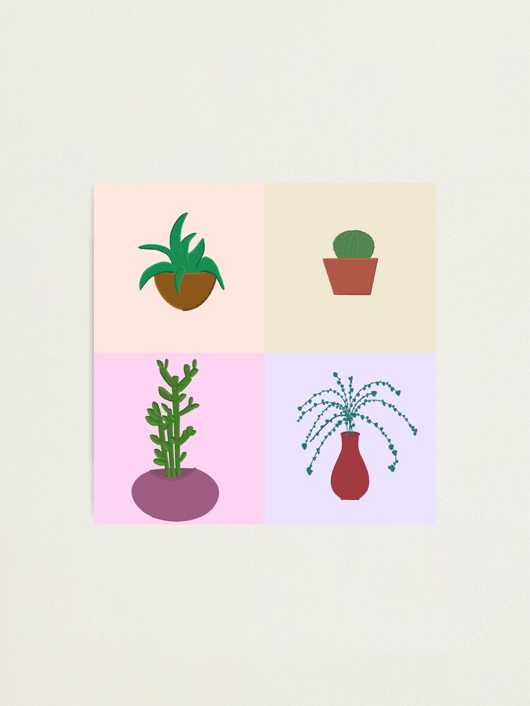 Thumbnail 2 of 3, Photographic Print, 4 happy plants designed and sold by Micyak.
