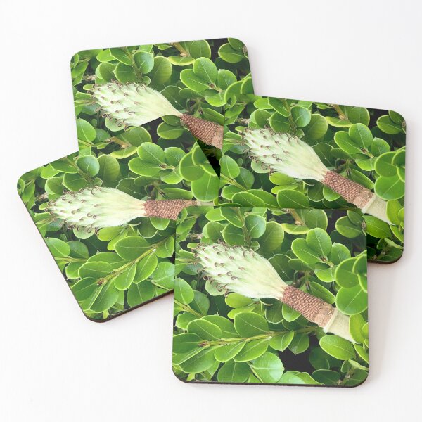 Item preview, Flower/seed in the Greenery  designed and sold by KazM.