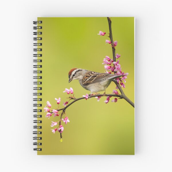 Item preview, Chipping Sparrow designed and sold by Jessica Kirste.