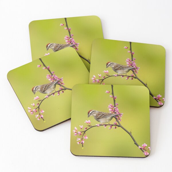 Item preview, Chipping Sparrow designed and sold by Jessica Kirste.