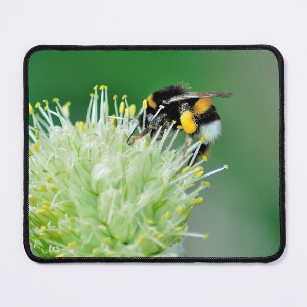 Item preview, Bee Flower Nectar designed and sold by DesignMore21.
