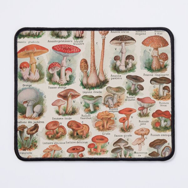 Item preview, Vintage Mushroom Fungus Science Illustration IV designed and sold by VintageArchive.