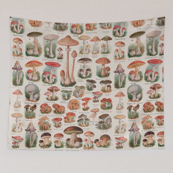 Item preview, Vintage Mushroom Fungus Science Illustration IV designed and sold by VintageArchive.