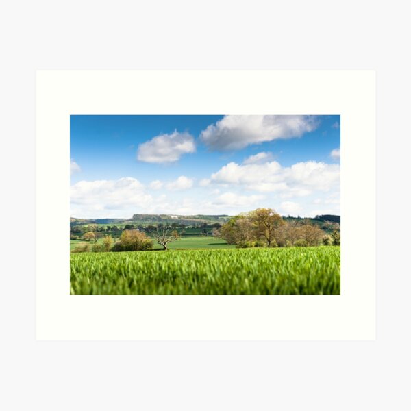 Across the fields to the Kilburn white horse Art Print