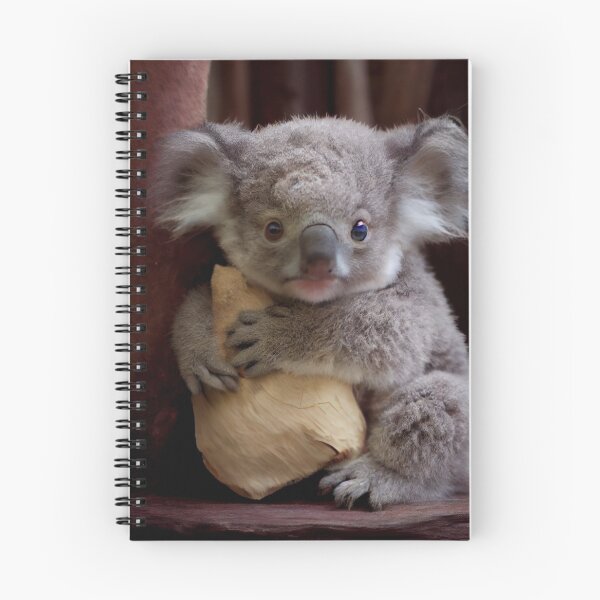 Aperçu de l'œuvre Cute Baby Koala with Coconut Husk Digital Painting créée et vendue par CodeAndColors.