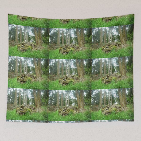 Item preview, *Old Stump "Fallen Beauty" - Trentham Falls, Vic. Aust.* designed and sold by EdsMum.