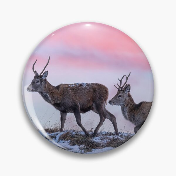 Item preview, Red Deer Stags at Dawn designed and sold by derekbeattie.