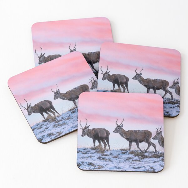 Item preview, Red Deer Stags at Dawn designed and sold by derekbeattie.