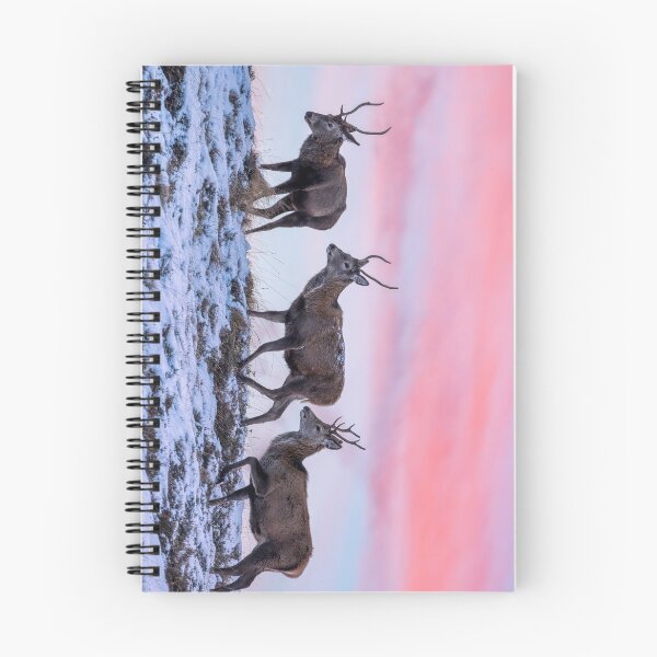 Item preview, Red Deer Stags at Dawn designed and sold by derekbeattie.