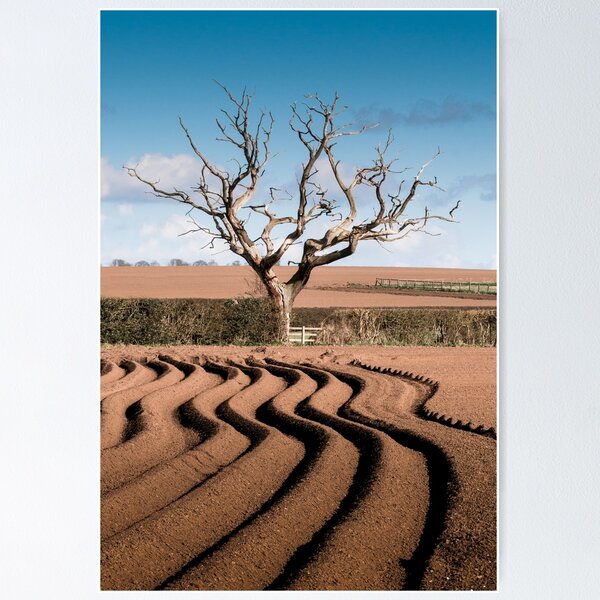 Tree Poster