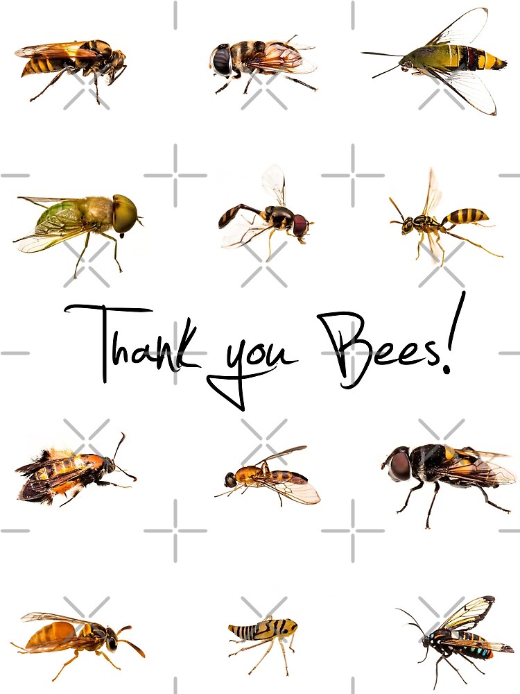 Thank You Bees Trolling Edition Poster - 