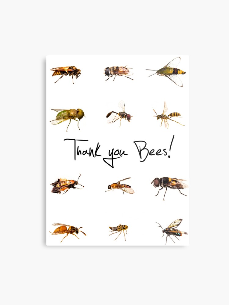 Thank You Bees Trolling Edition Metal Print - 