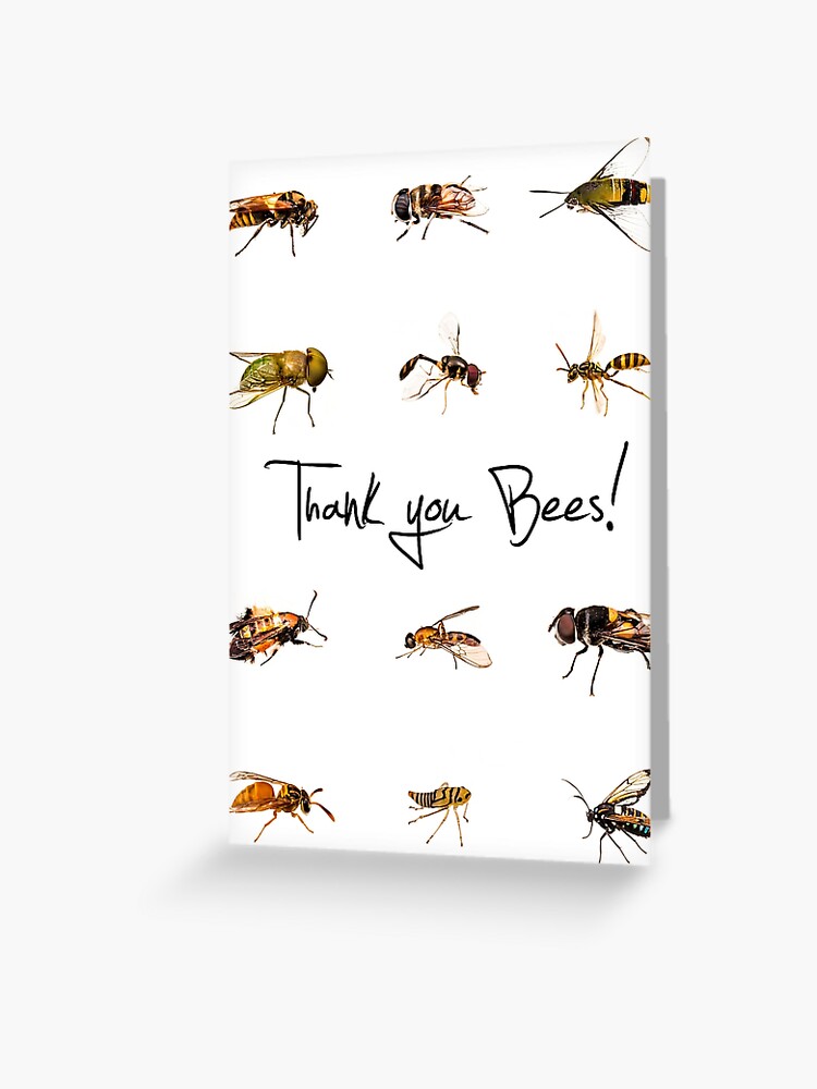 Thank you bees