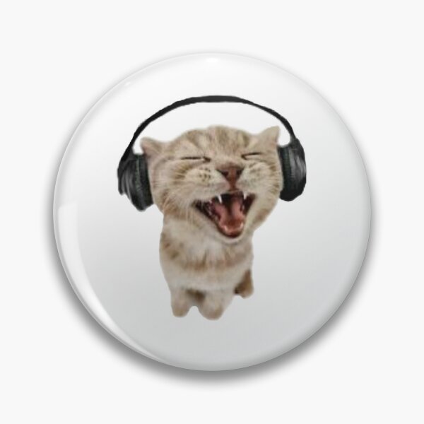 Silly headphone cat Pin