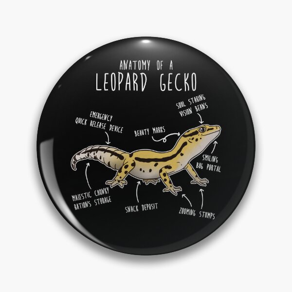 Item preview, Stripe Leopard Gecko Lizard Reptile Anatomy designed and sold by Clara Hollins.