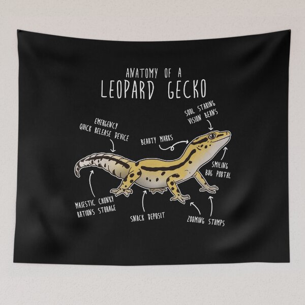 Item preview, Stripe Leopard Gecko Lizard Reptile Anatomy designed and sold by Clara Hollins.