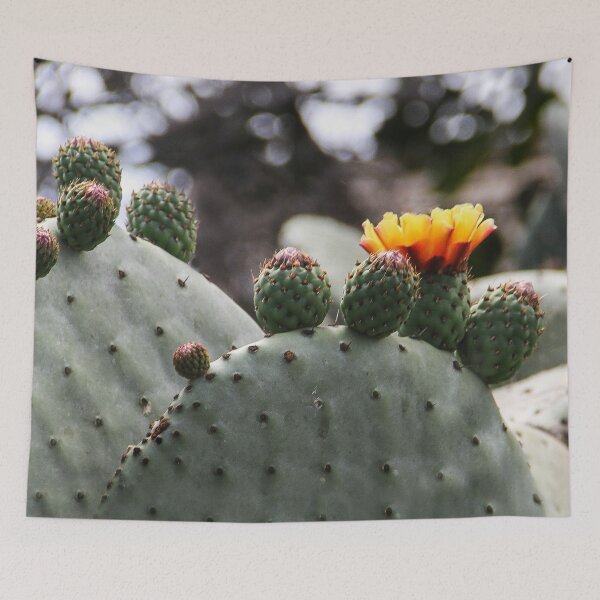 Item preview, Blooming Cactus designed and sold by heatherfriedman.