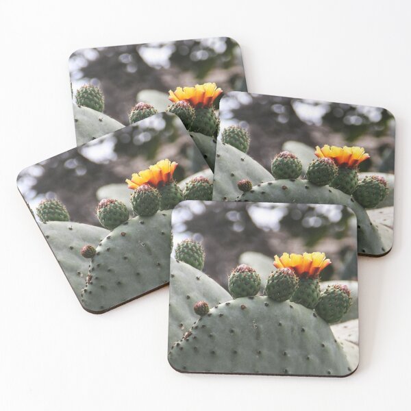 Item preview, Blooming Cactus designed and sold by heatherfriedman.