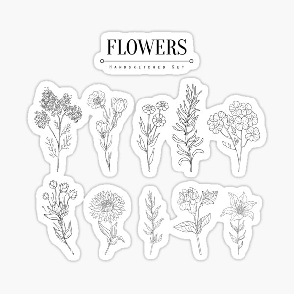Flower Herbarium Hand Drawn Realistic Sketch Sticker