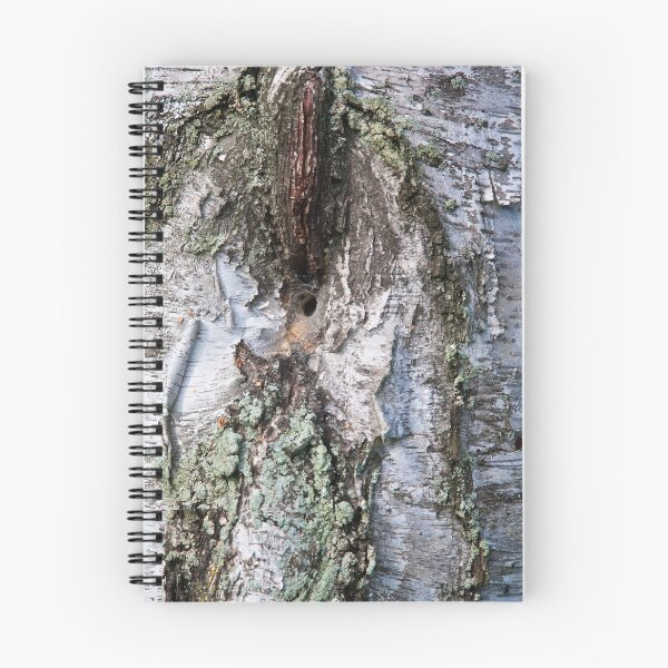 Item preview, Birch designed and sold by PhotosByHealy.