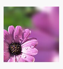 Drops Photographic Print
