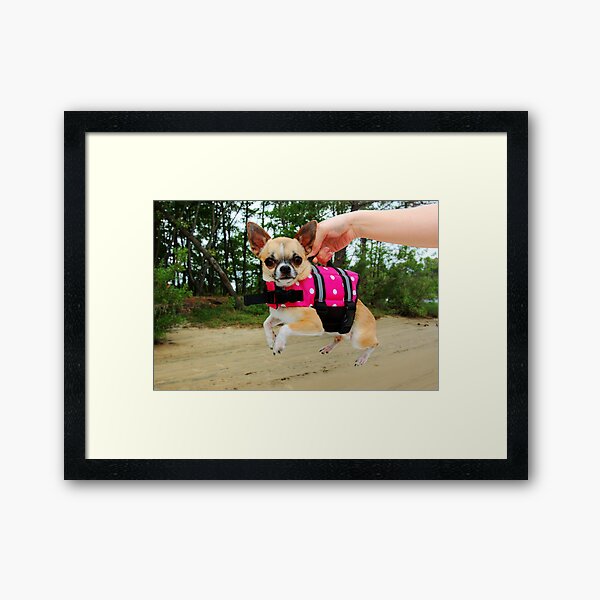 Pooch Overboard! Framed Art Print
