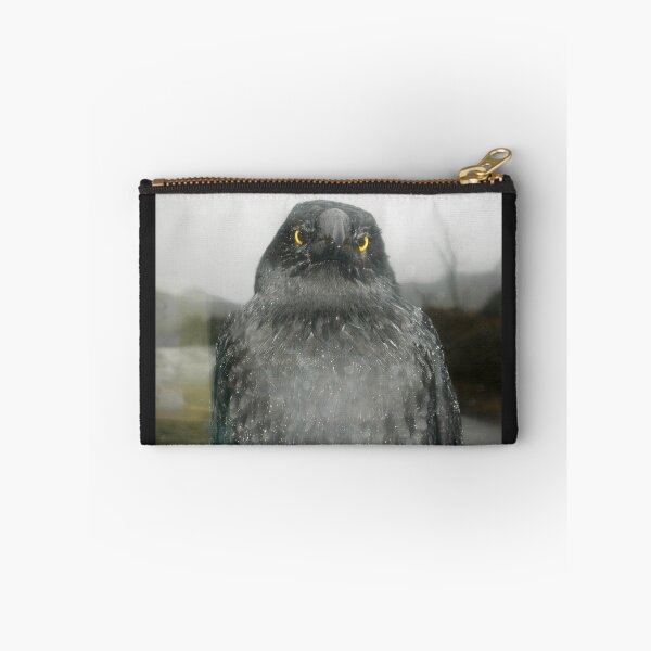 Item preview, Eye Contact with Currawong, Ronny Creek, Cradle Mountain,Tasmania. designed and sold by kaysharp.
