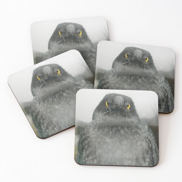 Item preview, Eye Contact with Currawong, Ronny Creek, Cradle Mountain,Tasmania. designed and sold by kaysharp.