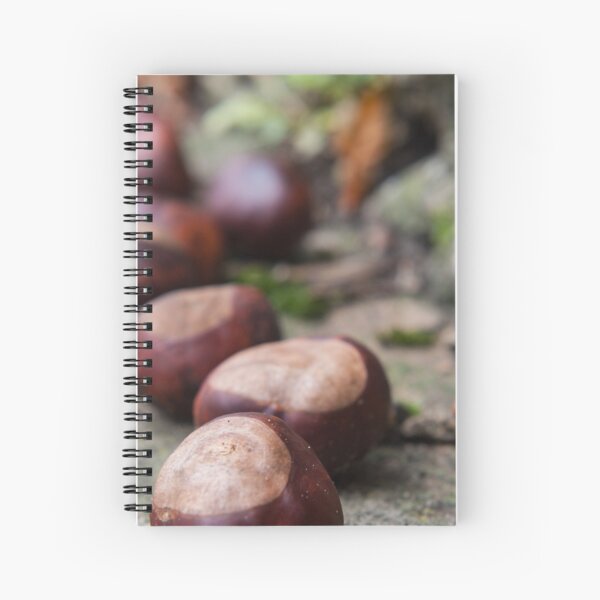 Conkers Spiral Notebook