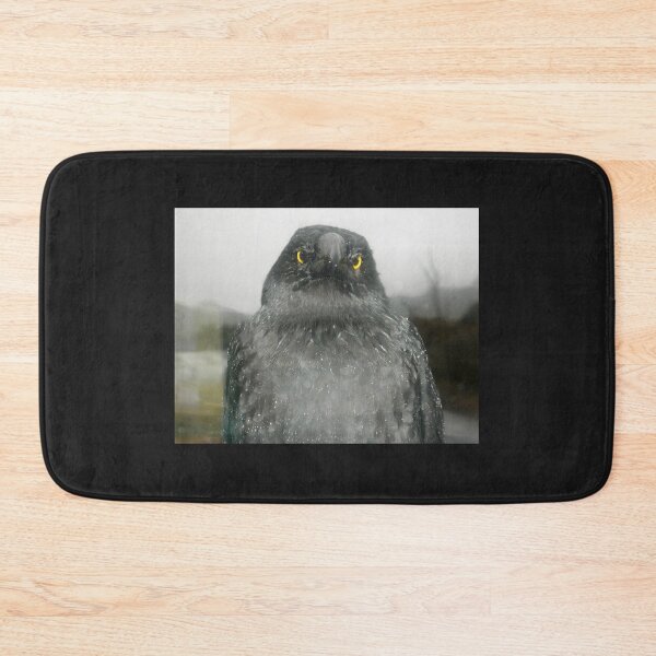 Item preview, Eye Contact with Currawong, Ronny Creek, Cradle Mountain,Tasmania. designed and sold by kaysharp.