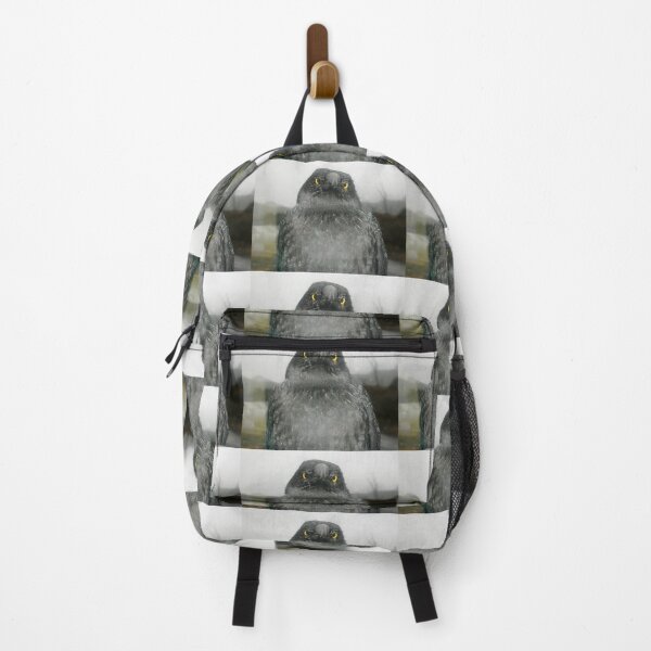 Item preview, Eye Contact with Currawong, Ronny Creek, Cradle Mountain,Tasmania. designed and sold by kaysharp.