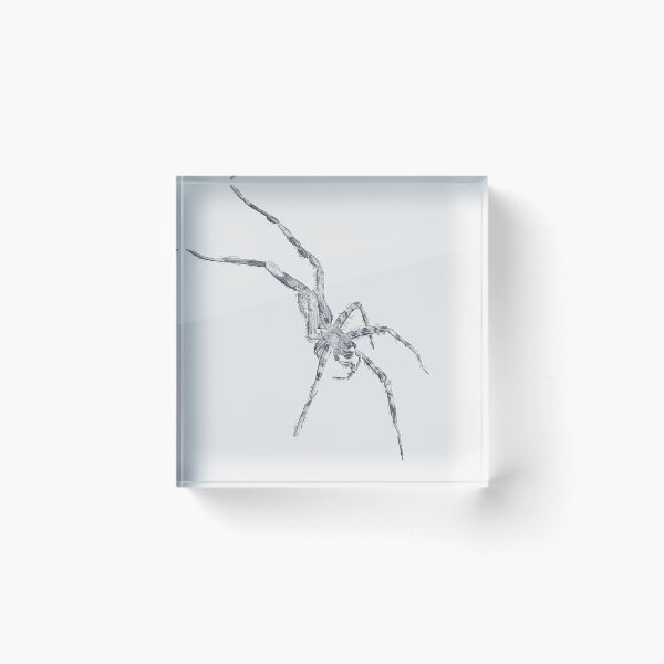Item preview, Fishing Spider Invert designed and sold by IgorAndMore.