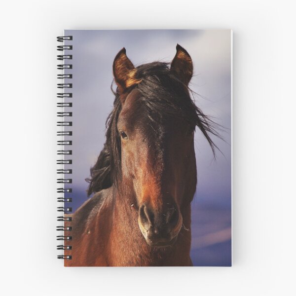Item preview, Palomino Valley Wild Horses designed and sold by Steven Sullivan.