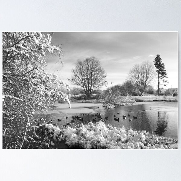 Snowy Duck Pond in Dereham Poster