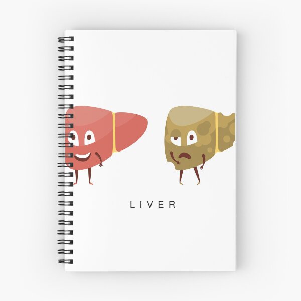 Aperçu de l'œuvre Illustration de l'infographie du foie saine vs malsaine créée et vendue par topvectors.