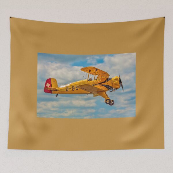 Item preview, Bücker Bü-133C Jungmeister C-AXMT U-99 designed and sold by Colin Smedley.
